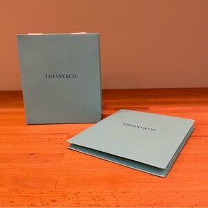 Tiffany & Co. Aqua Gift Bags